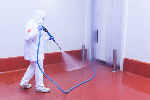 Best Warehouse Cleaning  in North Tustin, CA